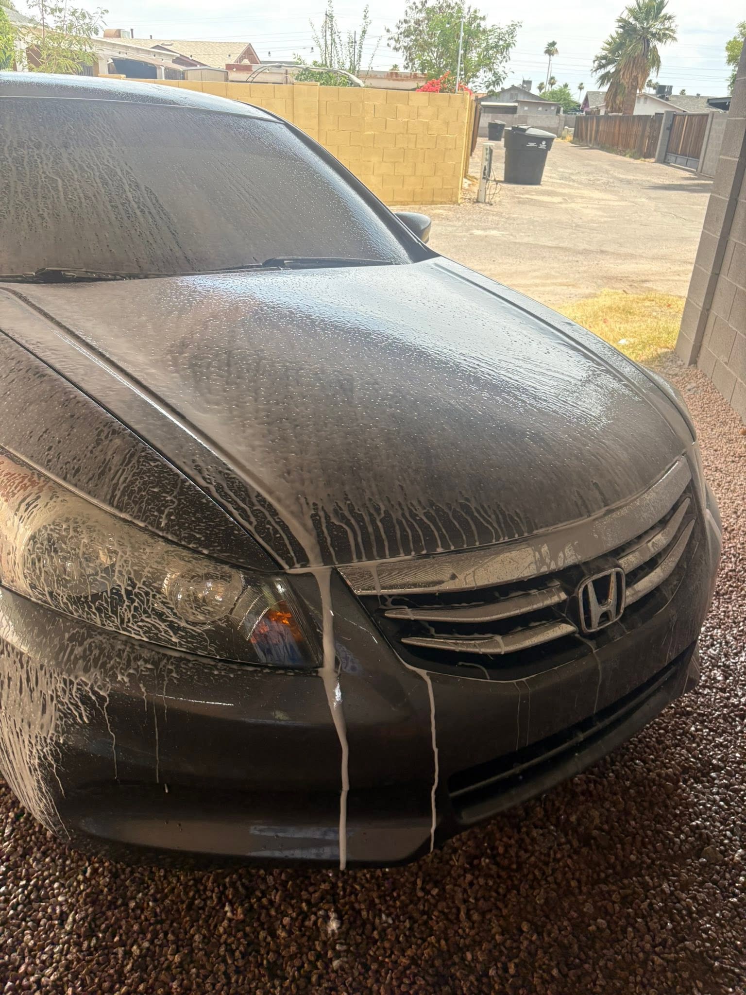 Honda covered in foam during exterior detailing